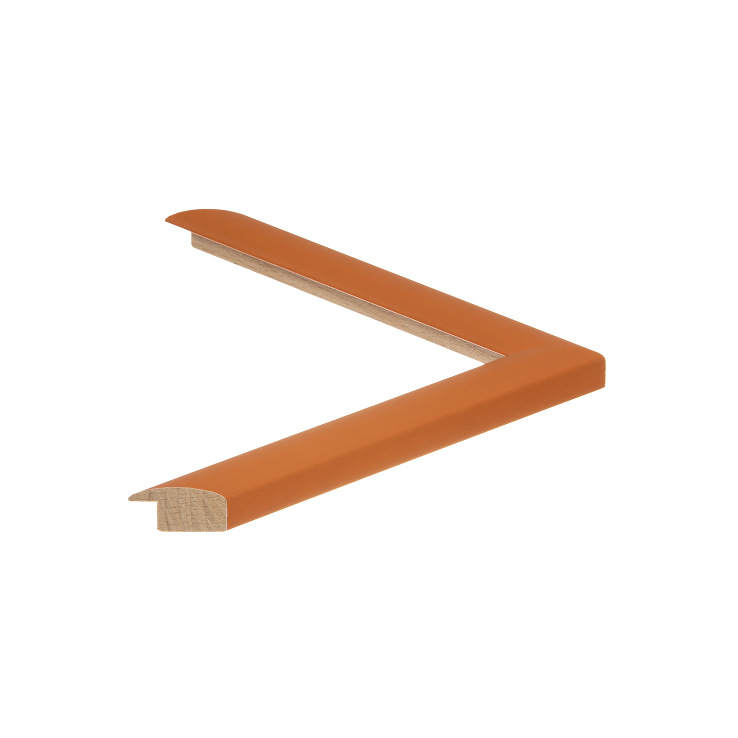 Cornice 12343040 | Albor